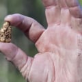 Who mined the first gold?